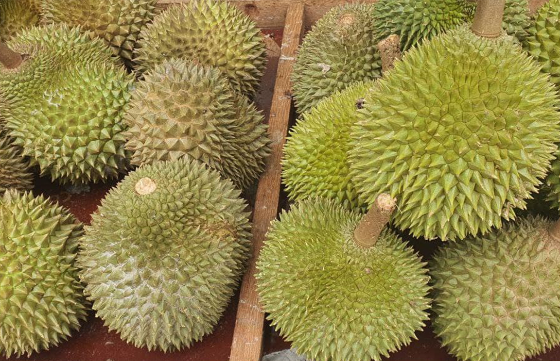 How To Identify Good Durians