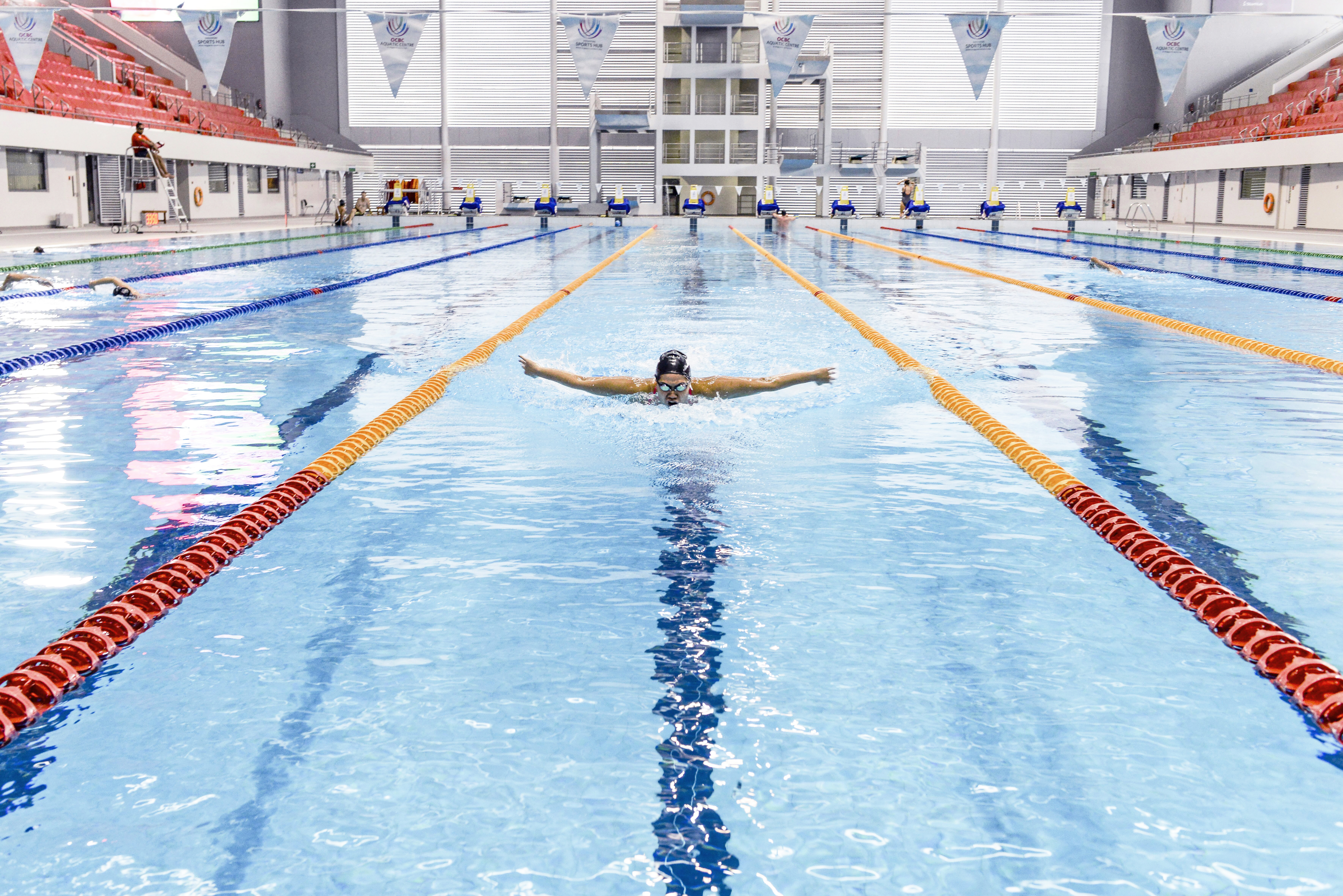 Make a Splash at an Aquatic Marvel